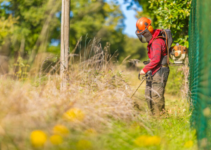 SEI Secteur espaces verts
