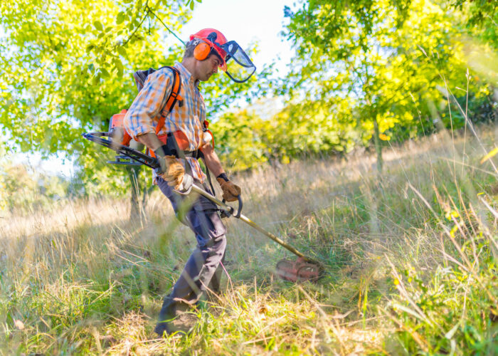SEI Secteur espaces verts