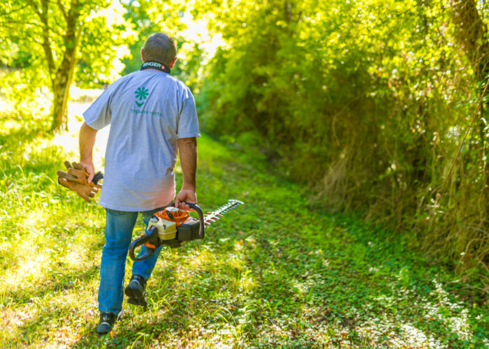 SEI Secteur espaces verts