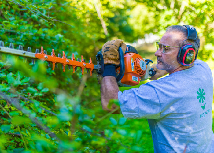 SEI Secteur espaces verts