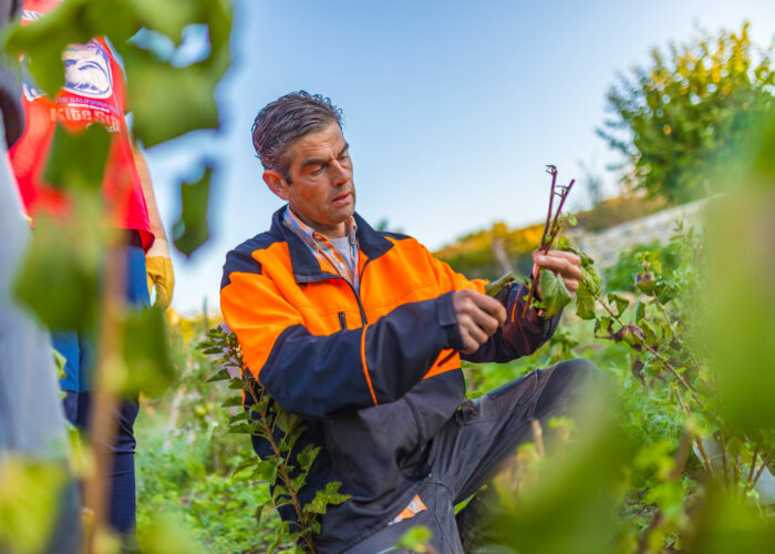 PHC 09 25 (26) SEI Premières heures en chantier