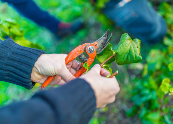 PHC 09 25 (27) SEI Premières heures en chantier