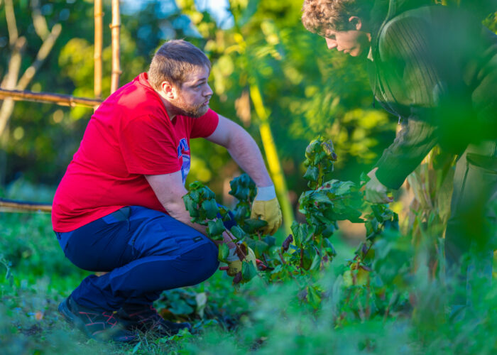 PHC 09 25 (36) SEI Premières heures en chantier