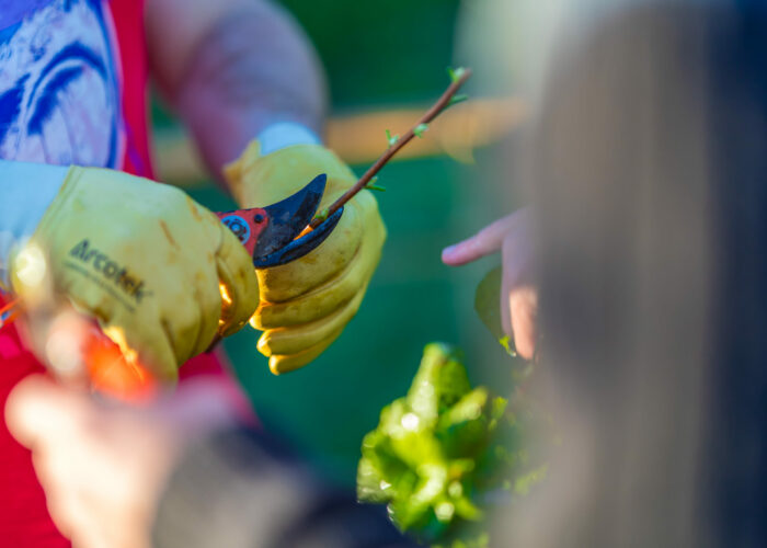 PHC 09 25 (39) SEI Premières heures en chantier