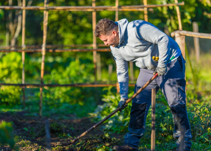 SEI Premières heures en chantier