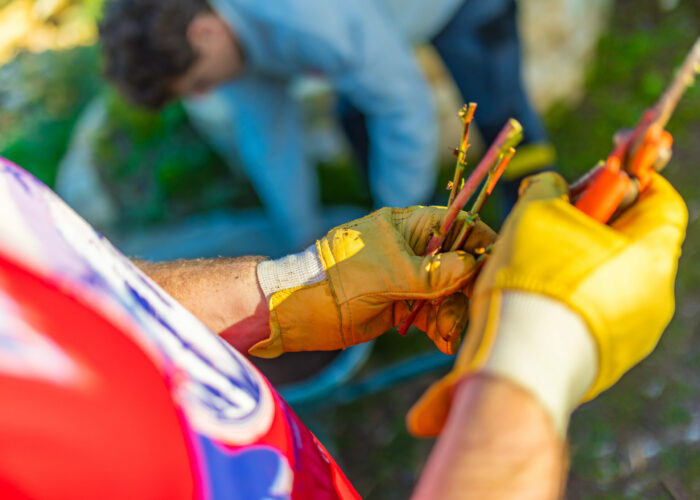 PHC 09 25 (48) SEI Premières heures en chantier